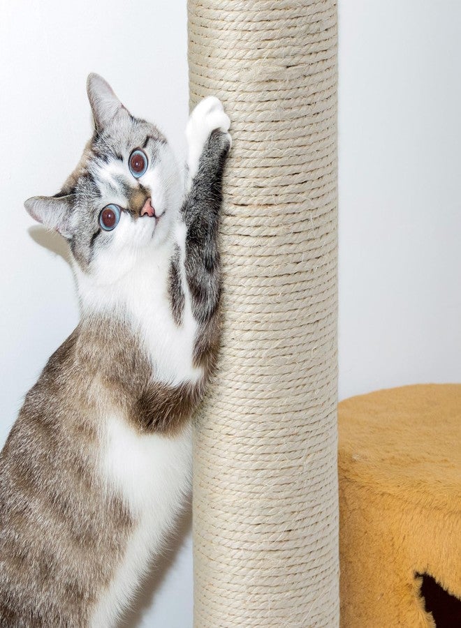 Arrowbash مجموعة أروباش من 8 قطع بديلة لأعمدة خدش القطط M8، مصنوعة من السيزال، مقاس 15.7 × 3.1 بوصة، مع براغي، وعمود خدش بديل لأبراج أشجار القطط الداخلية، وواقي أثاث الحيوانات الأليفة. - Image 4