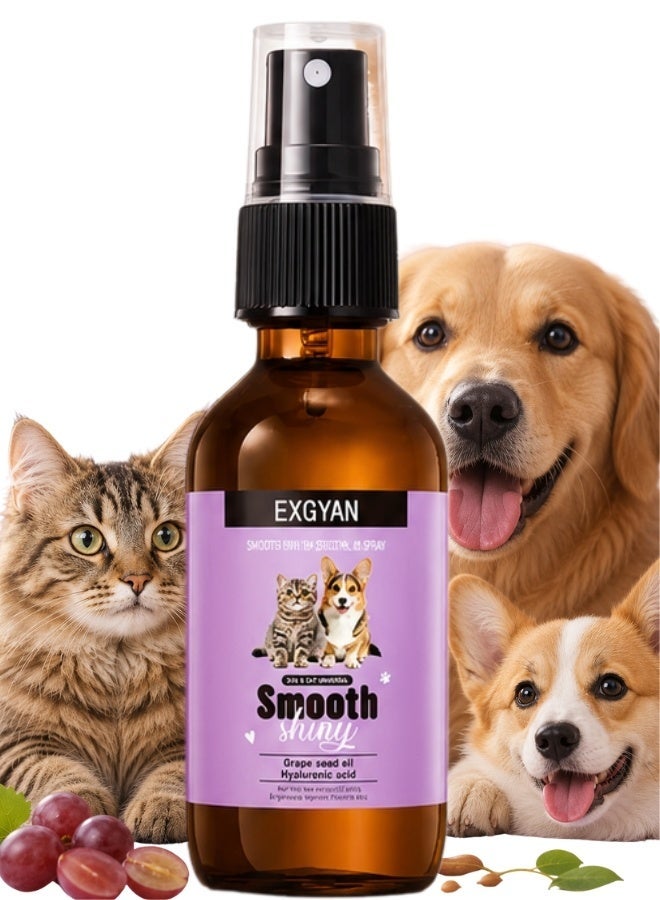 EXGYAN Pet Hair Essential Oil Spray for Dogs & Cats Lavender Fragrance Oil ,Smooth & Shiny Coat Spray with Grape Seed Oil & Hyaluronic Acid Moisturizes Dry Fur, Reduces Shedding, Long-Lasting Fresh Fragrance Pets Odour Remover Oil 55ml - Image 1