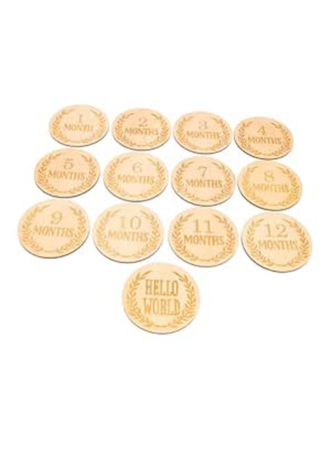 SECFOU 13Pcs Monthly Milestone Wooden Sign Cards Baby Growth Discs Photo Props Set - Image 1