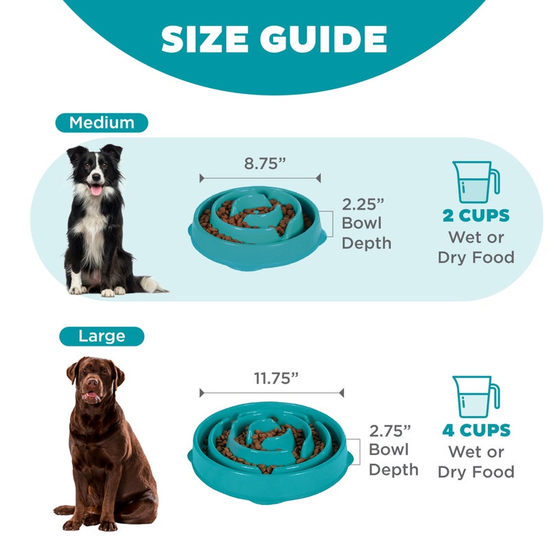Outward Hound Medium Slow Feeder Bowl, Puzzle Maze for Fast Eaters, Small to Medium Dogs, Helps Prevent Bloat & Aid Digestion, Holds 2 Cups Wet or Dry Food, Non-Slip, Made Without BPA, Turquoise - Image 5