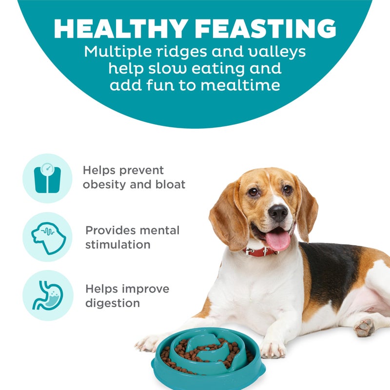 Outward Hound Medium Slow Feeder Bowl, Puzzle Maze for Fast Eaters, Small to Medium Dogs, Helps Prevent Bloat & Aid Digestion, Holds 2 Cups Wet or Dry Food, Non-Slip, Made Without BPA, Turquoise - Image 2