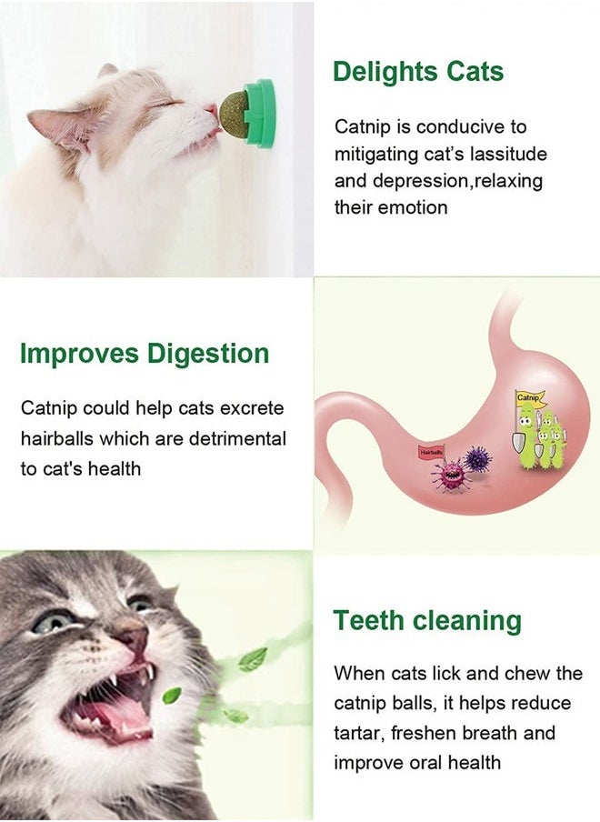 ZCM-HAPPY - 2 Sets Catnip Ball Toys for Cats to Lick Natural Edible Catnip Snacks Can be Rotated to Lick Snacks, Cat Toys That Can be Pasted on the Wall - Image 1