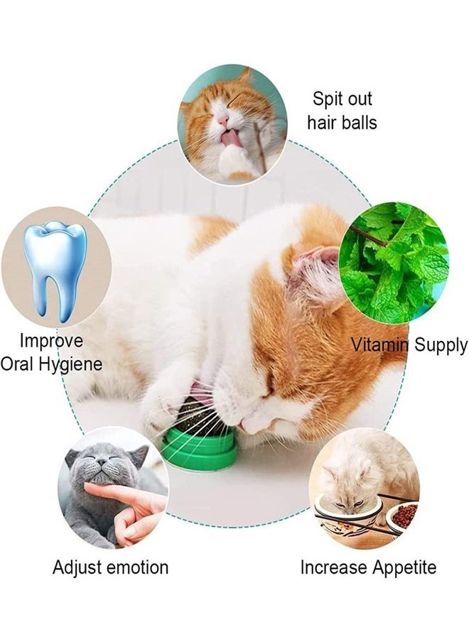 ZCM-HAPPY - 2 Sets Catnip Ball Toys for Cats to Lick Natural Edible Catnip Snacks Can be Rotated to Lick Snacks, Cat Toys That Can be Pasted on the Wall - Image 1
