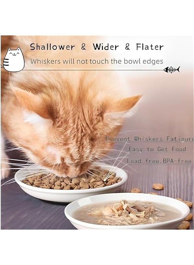 بيوينتي بيونتي وعاء طعام للقطط من 3 قطع، اوعية صحية من السيراميك للقطط في الاماكن المغلقة، مجموعة اطباق قطط مضادة للتعب، اطباق عريضة مسطحة للطعام والماء، قاعدة سيليكون غير قابلة للانزلاق - Image 4