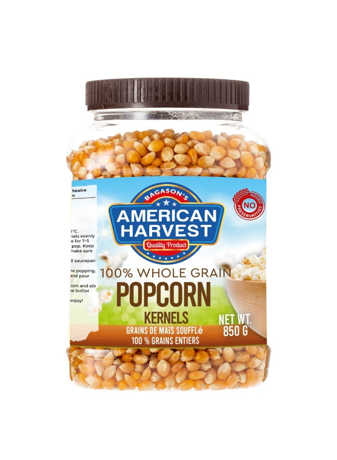 American Harvest Poporn Kernels 850g - Image 1