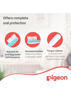 pigeon فرشاة أسنان تدريب الأطفال الدرس 3 - أخضر  - Image 4