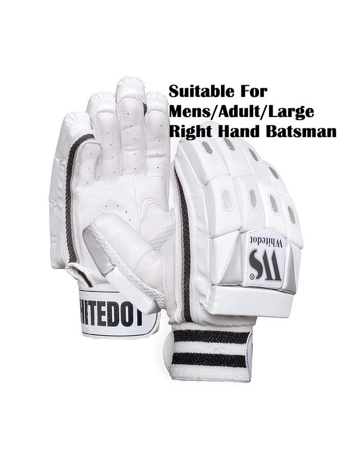 WHITEDOT SPORTS WHITEDOT SPORTS Whitedot Dot 2.1 Cricket Batting Gloves, Mens, Rh (Leather, White) - Image 2