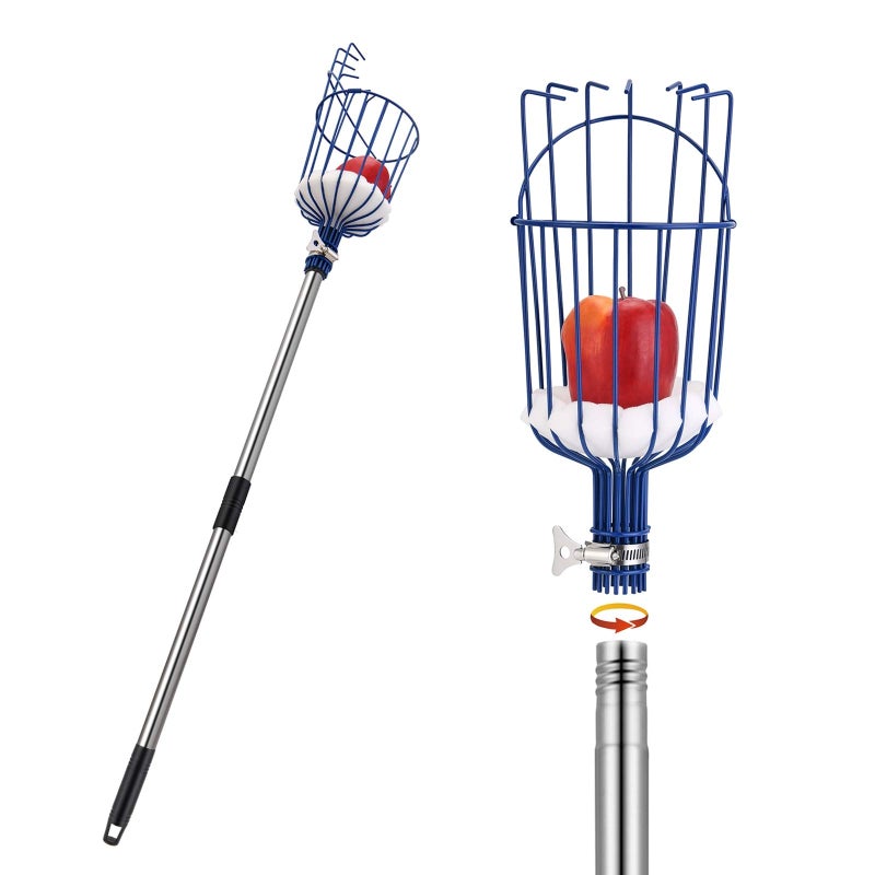Oak Leaf Fruit Picker 13 FT Picker Pole with Basket Length Adjustable Apple Orange Picker Tool Tree Fruit Catcher with Lightweight Stainless Steel Connecting Pole Foam Pad 2 Metal ClampUpgraded