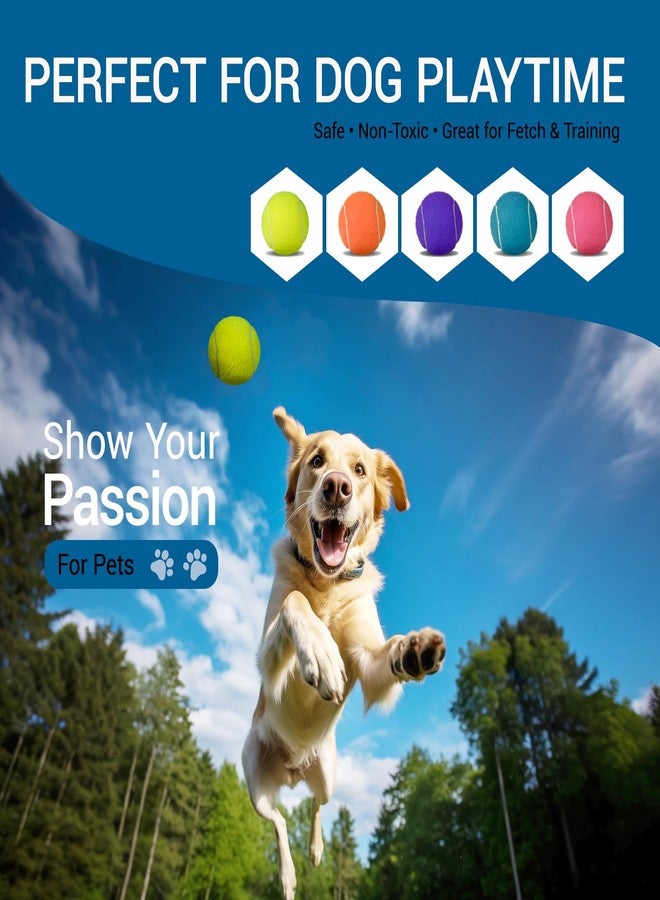 INSUM 20 Pack Bulk Tennis Balls, High Elasticity for Practice - Image 4