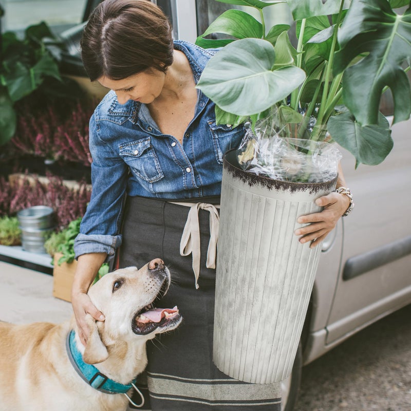 Worth Garden 22.5" H. Plastic Planters - Set of 2 Silver Color Tall Conical Plant Pots for Indoor Outdoor Use - Decorative Lightweight Flower Pots for Front Porch, Patio, Deck - 12.5" Dia x 22.5" H - Image 5