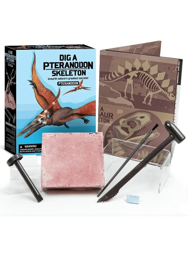 4M KidzLabs Pteranodon Skeleton Excavation Kit â€“ Dig & Assemble a Flying Dinosaur Fossil Model | STEM Paleontology Toy for Kids Ages 8+ / 00-03459 - Image 3