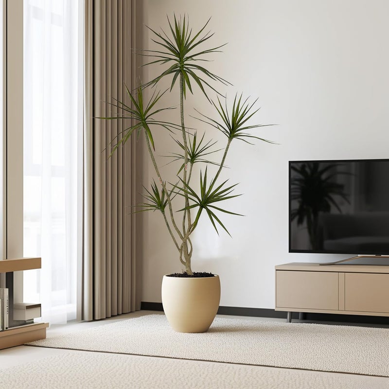 AfanD Artificial Dracaena marginata,6ft Tall Fake Plants Artificial Dracaena marginata Plants for Indoor, Fake Trees for Office Home Living Room Floor Patio Greening Porch Decor - Image 4
