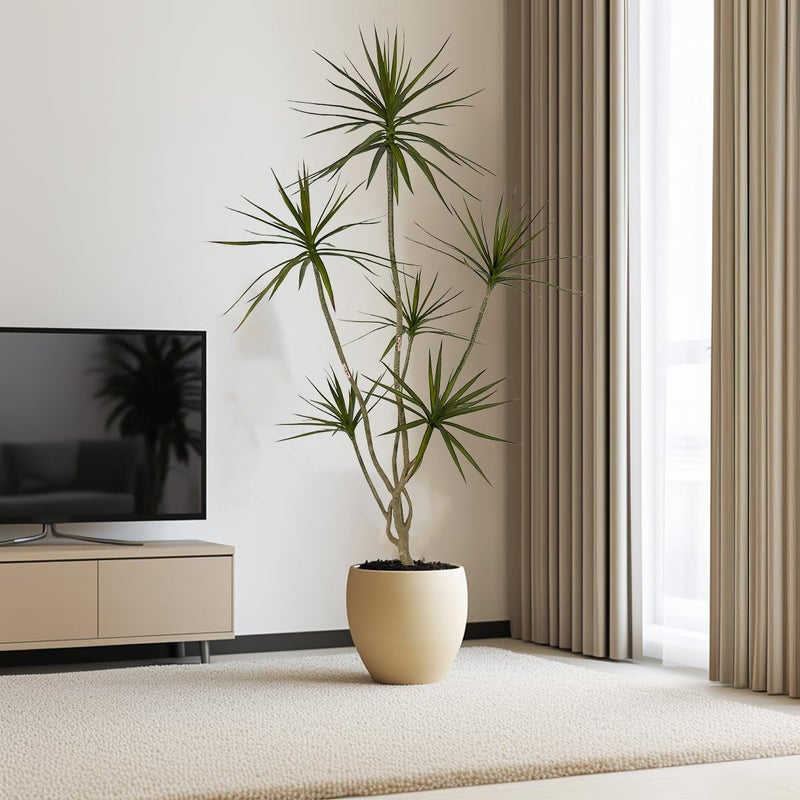AfanD Artificial Dracaena marginata,6ft Tall Fake Plants Artificial Dracaena marginata Plants for Indoor, Fake Trees for Office Home Living Room Floor Patio Greening Porch Decor - Image 3