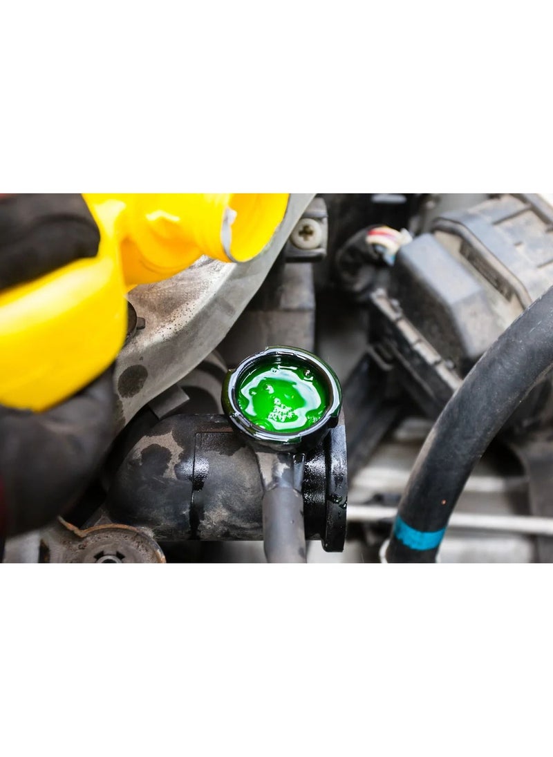 Dolphin Radiator Coolant, 1 Liter, Green  - Image 4