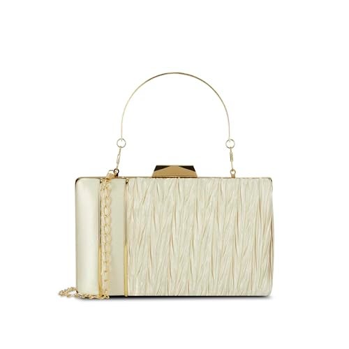 Lavie Women's Anya Pleat Handle Framed Clutch | Ladies purse | Gift For Girl, Women - Image 1