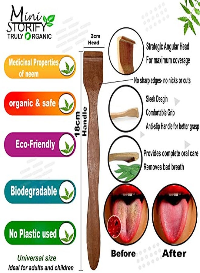Mini Storify Truly Organic فرشاة أسنان ميني ستوريفاي العضوية بالكامل للبالغين من الخيزران - تنظيف الفم، | فرشاة أسنان للأطفال من الخيزران - تنظيف الفم، | منظف/مكشطة لسان من خشب النيم النقي للبالغين والأطفال (عبوة من 12 قطعة) - Image 4