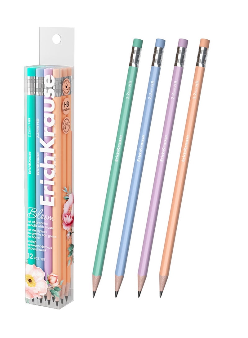 12 قطعة قلم رصاص جرافيت HB بلوم باستيل