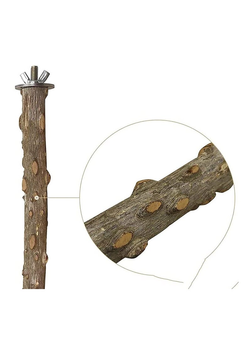 5 pcs Natural Wood Bird Perch Stand