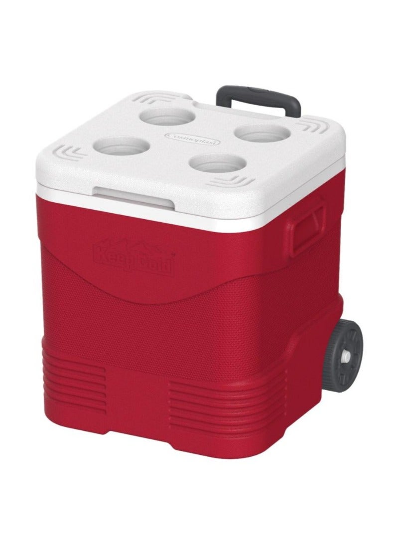 Picnic Trolley Icebox 45 L 43 5 X 45 5 X 47 3 Cm