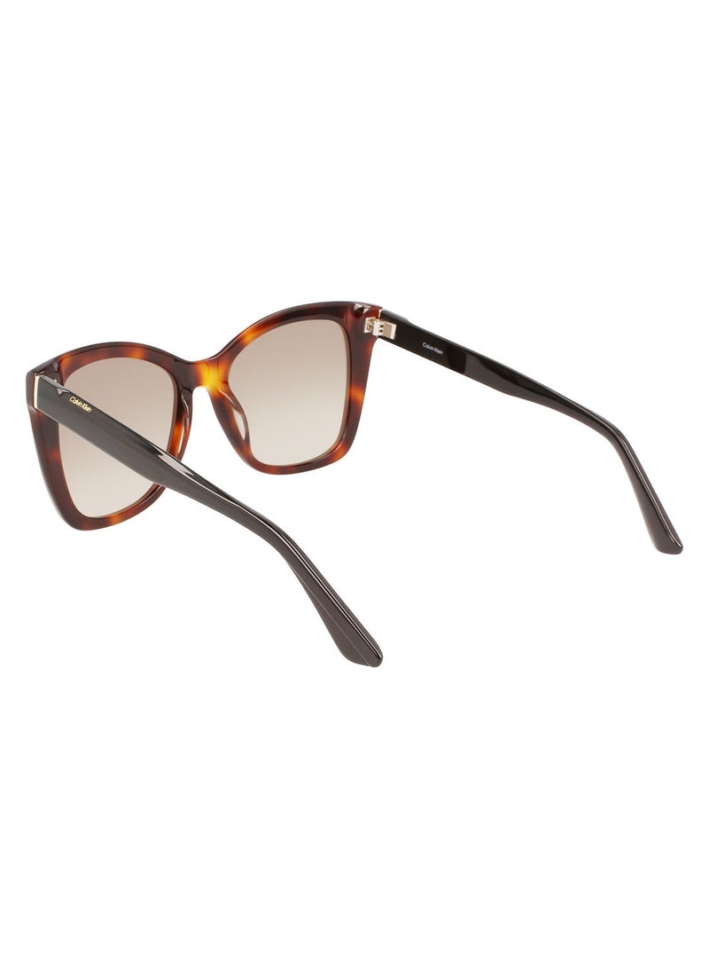 CALVIN KLEIN نظارة شمسية كالفن كلاين صن Ck22530S 5319 (220) بإطار كامل من خلات الفراشة باللون البني هافانا - Image 3