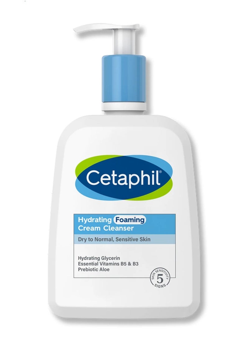 Cetaphil Hydrating Foaming Cream Cleanser, 237ml - pzsku/ZEA0DFCA59D8B60AFE334Z/45/_/1730293393/be3476f9-5116-466a-976b-3b126ad80676