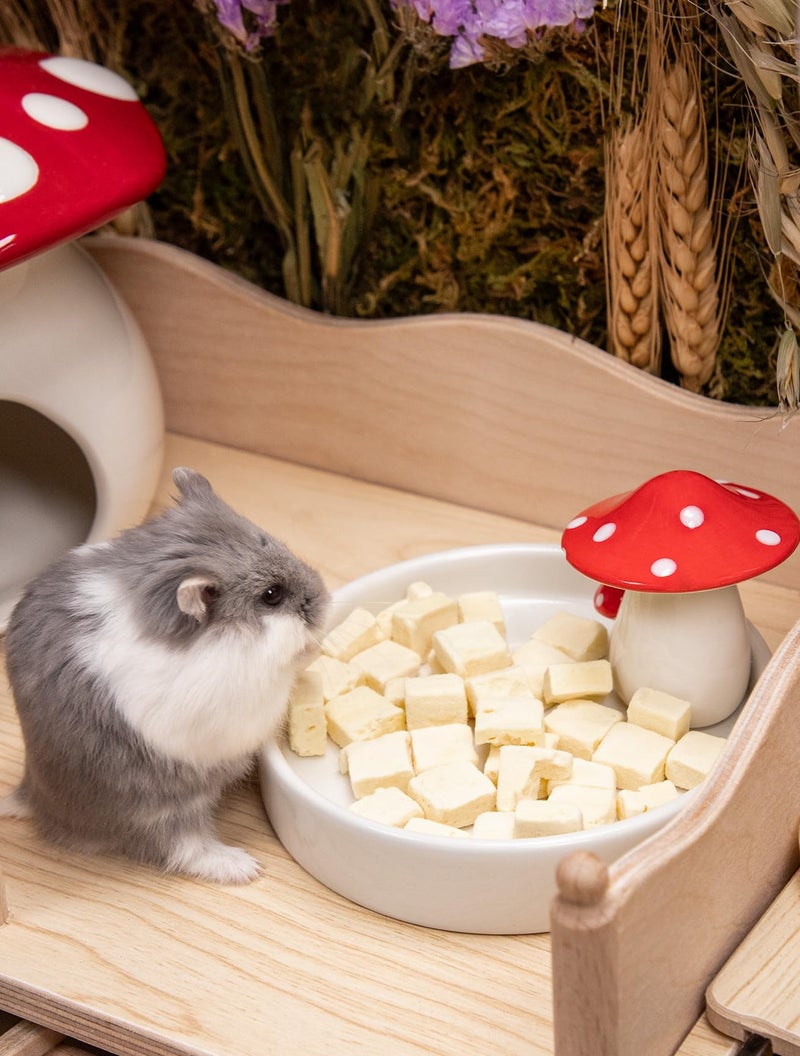 Niteangel Hamster Feeding & Water Bowls- Mushroom Ceramics Series Food Dish Feeding Bowls for Dwarf Syrian Hamsters Gerbils Mice Rats or Other Similar-Sized Small Pets (Feeding Bowl) - Image 5