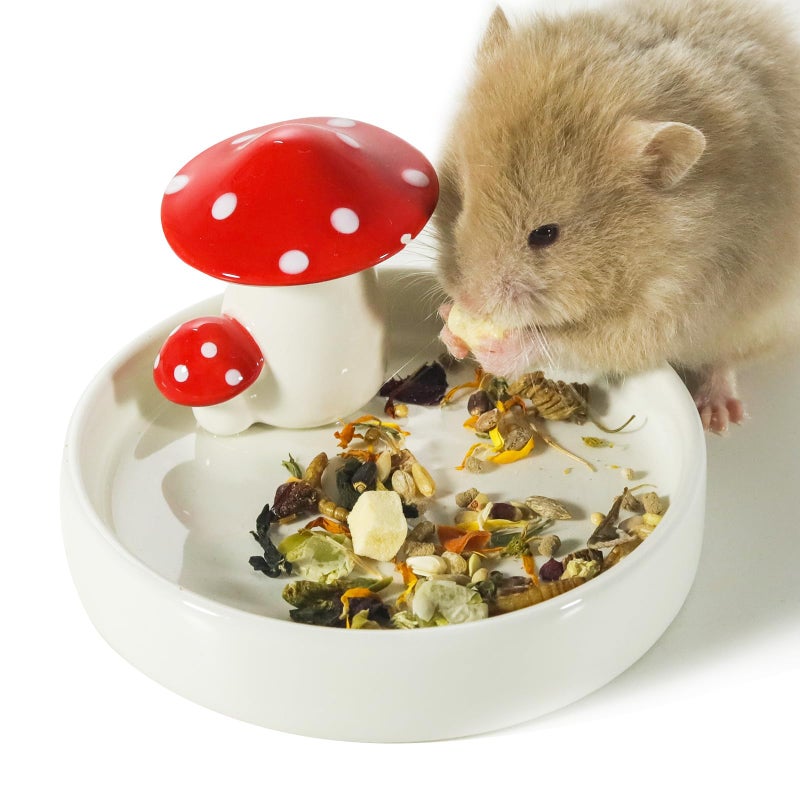 Niteangel Hamster Feeding & Water Bowls- Mushroom Ceramics Series Food Dish Feeding Bowls for Dwarf Syrian Hamsters Gerbils Mice Rats or Other Similar-Sized Small Pets (Feeding Bowl) - Image 1
