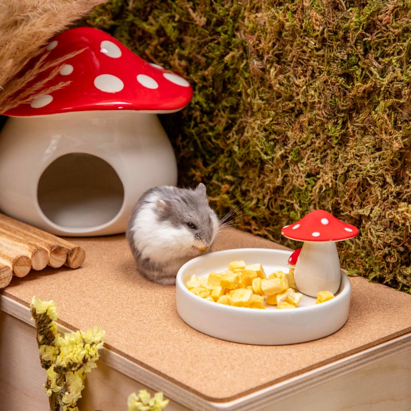 Niteangel Hamster Feeding & Water Bowls- Mushroom Ceramics Series Food Dish Feeding Bowls for Dwarf Syrian Hamsters Gerbils Mice Rats or Other Similar-Sized Small Pets (Feeding Bowl) - Image 4