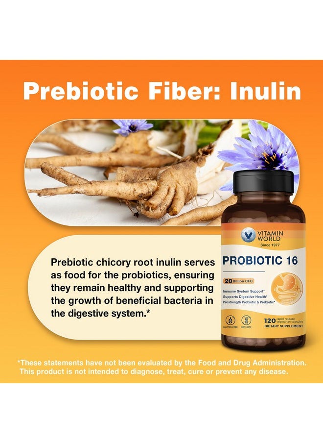 VITAMIN WORLD Vitamin World Probiotic 16, 20 Billion CFU, 16 Strains with Prebiotic Fiber for Digestive & Immune Health, Probiotics for Women & Men, Non-GMO, Gluten Free, 120 Veggie Capsules, 60 Day Supply  - Image 5