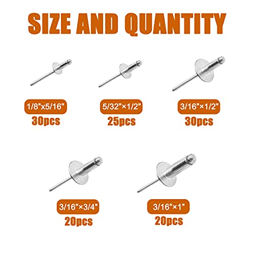 ISPINNER 125pcs Large Flange Aluminum Blind Rivets, Pop Rivets Assortment Kit (Silver) - Image 2