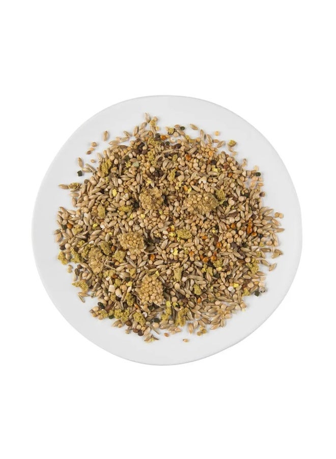 ويت مولين طائر بور الاستوائي [الوزن - 750 جرام] - Image 2