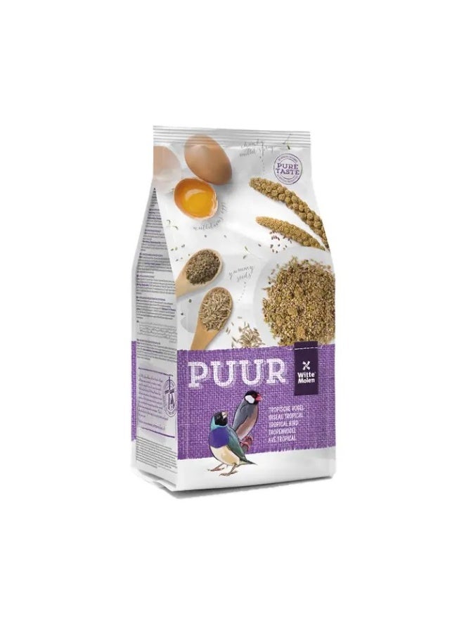 ويت مولين طائر بور الاستوائي [الوزن - 750 جرام] - Image 4