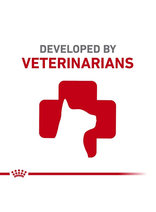 رويال كانين طعام القطط الرطب من رويال كانين للعناية بالجهاز الهضمي، شرائح رقيقة في المرق، علبة 3 أونصة (24 قطعة) - Image 3