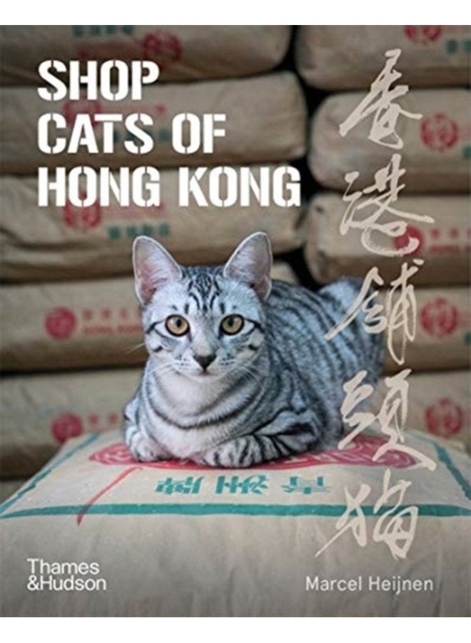 Shop Cats of Hong Kong - Paperback