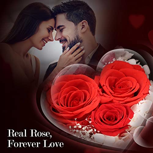 ADDWel Rose Gifts for Women - Preserved Real Roses Forever Red Flowers with I Love You in 100 Languages Necklace and Cute Moss Bear for Girlfriend Wife Mom Grandma on Birthdays, Anniversaries - Image 2