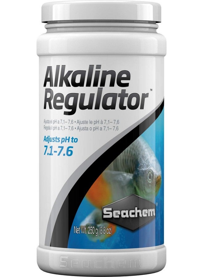 Seachem Alkaline Regulator, 50 g / 1.8 oz - Image 1
