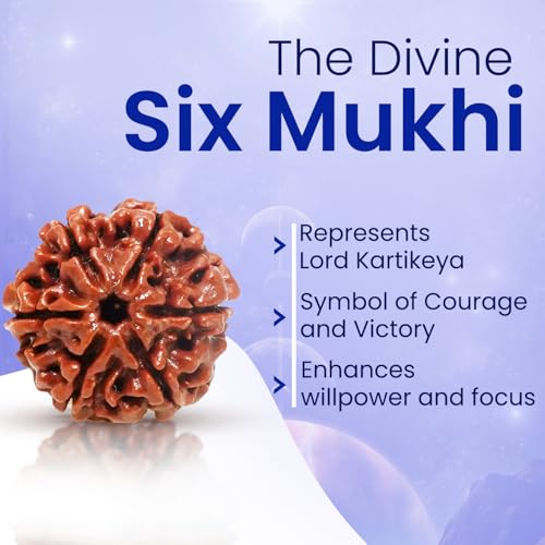 PUSHKARA Natural 6 MUKHI RUDRAKSHA Certified - Nepal | Brown | PJTL6M01 - Astrological Benefits - Unisex Pendants - Positive Energy for Men & Women - Image 4