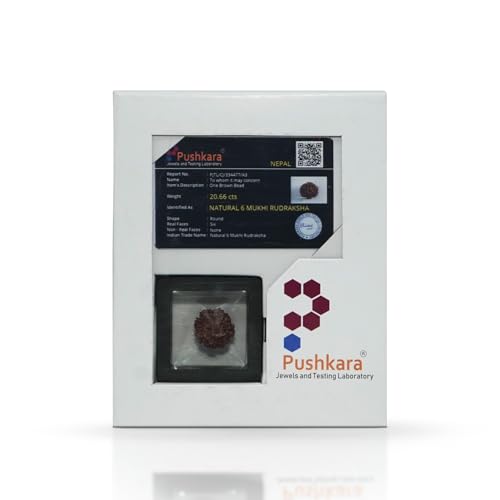 PUSHKARA Natural 6 MUKHI RUDRAKSHA Certified - Nepal | Brown | PJTL6M01 - Astrological Benefits - Unisex Pendants - Positive Energy for Men & Women - Image 2