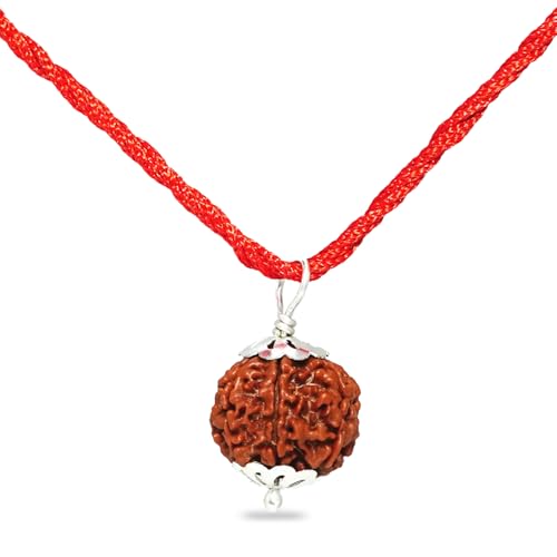 PUSHKARA Natural 6 MUKHI RUDRAKSHA Certified - Nepal | Brown | PJTL6M01 - Astrological Benefits - Unisex Pendants - Positive Energy for Men & Women - Image 3