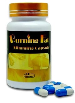 Fat burning capsules - 60 pcs - pzsku/ZEA1843E160C24059011AZ/45/_/1726603886/d2bed444-4e7d-4806-a8aa-ff66e7507444