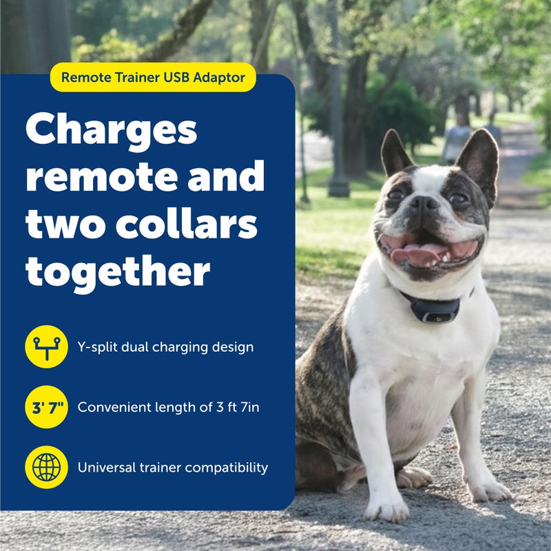 PetSafe Remote Trainer USB Adaptor - Replacement Charging Cable for Dog Training Collars - Compatible Accessory for Multiple Remote Trainer Models - Durable & Portable Charging Solution - Image 2