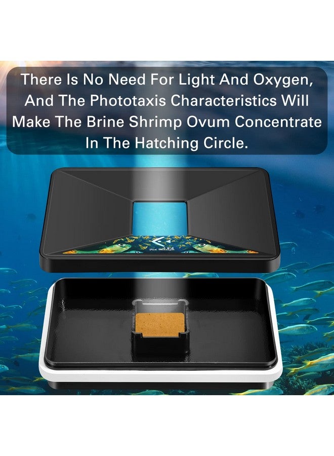 LEIFIDE LEIFIDE Brine Shrimp Hatchery Incubator Kit Dish, Efficient and Easy Brine Shrimp Hatchery Collect with Net, Measuring Cup, Eggs Spoon, Dropper - Image 5