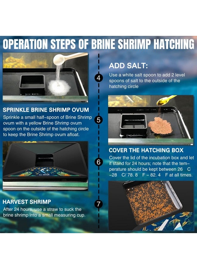 LEIFIDE LEIFIDE Brine Shrimp Hatchery Incubator Kit Dish, Efficient and Easy Brine Shrimp Hatchery Collect with Net, Measuring Cup, Eggs Spoon, Dropper - Image 4