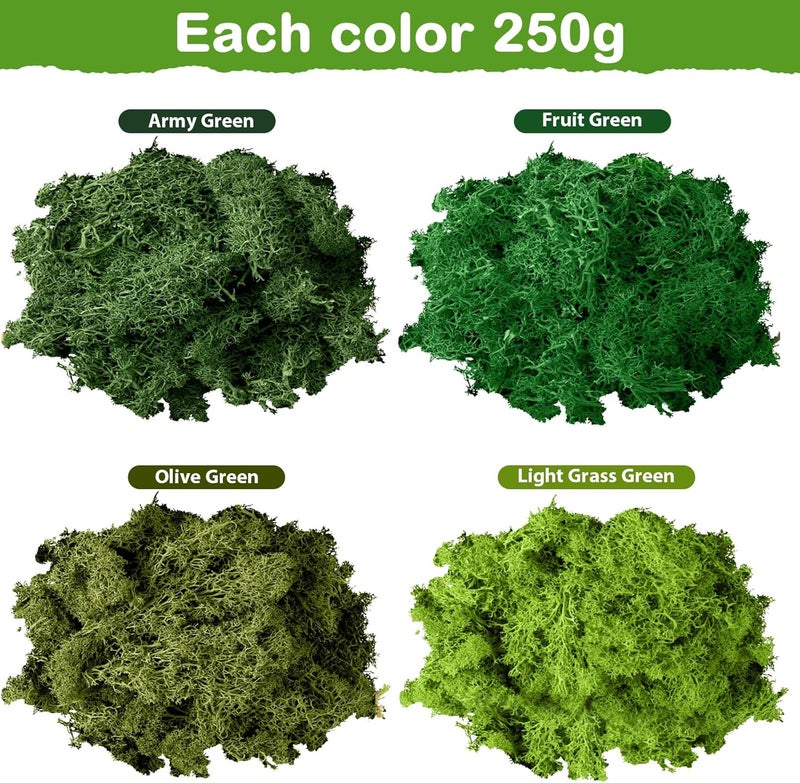 eBoot طحالب الرنّة المحفوظة طحالب طبيعية مجففة بالجملة للحرف اليدوية DIY جدران المنزل المكتب Terrariums زينة حفلات الزفاف مركز الزهور 22 رطل متعدد الألوان - Image 2