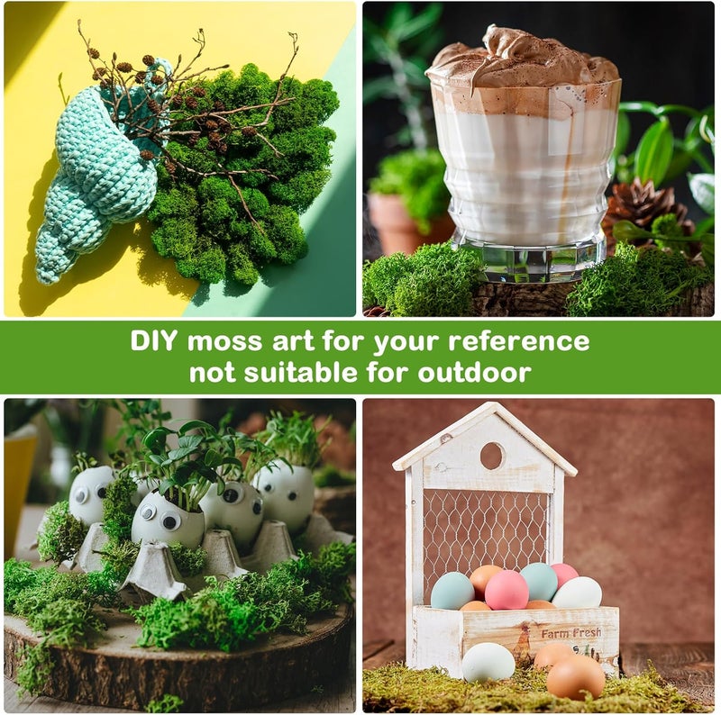 eBoot طحالب الرنّة المحفوظة طحالب طبيعية مجففة بالجملة للحرف اليدوية DIY جدران المنزل المكتب Terrariums زينة حفلات الزفاف مركز الزهور 22 رطل متعدد الألوان - Image 5