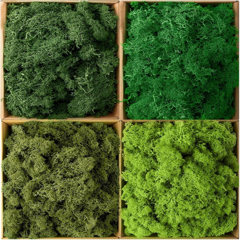 eBoot طحالب الرنّة المحفوظة طحالب طبيعية مجففة بالجملة للحرف اليدوية DIY جدران المنزل المكتب Terrariums زينة حفلات الزفاف مركز الزهور 22 رطل متعدد الألوان - Image 1