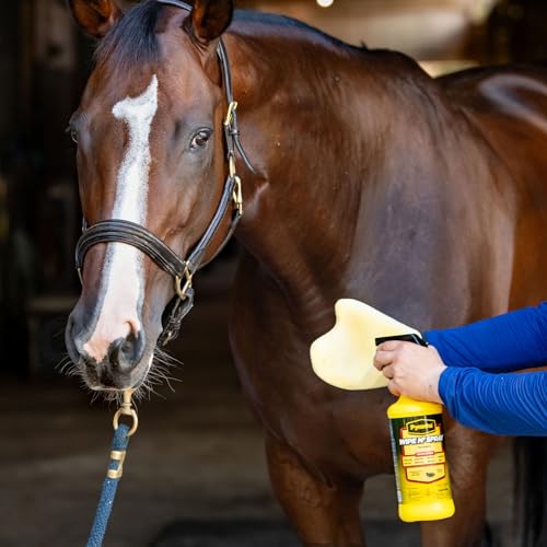 PYRANHA Wipe N' Spray for Horses - Oil-Based Long Lasting Fly Control Repels Horn, Deer, Horse, House, Stable, & Face Flies, Ticks, Mites, Mosquitoes, Gnats & Lice, 1 Quart - Image 3