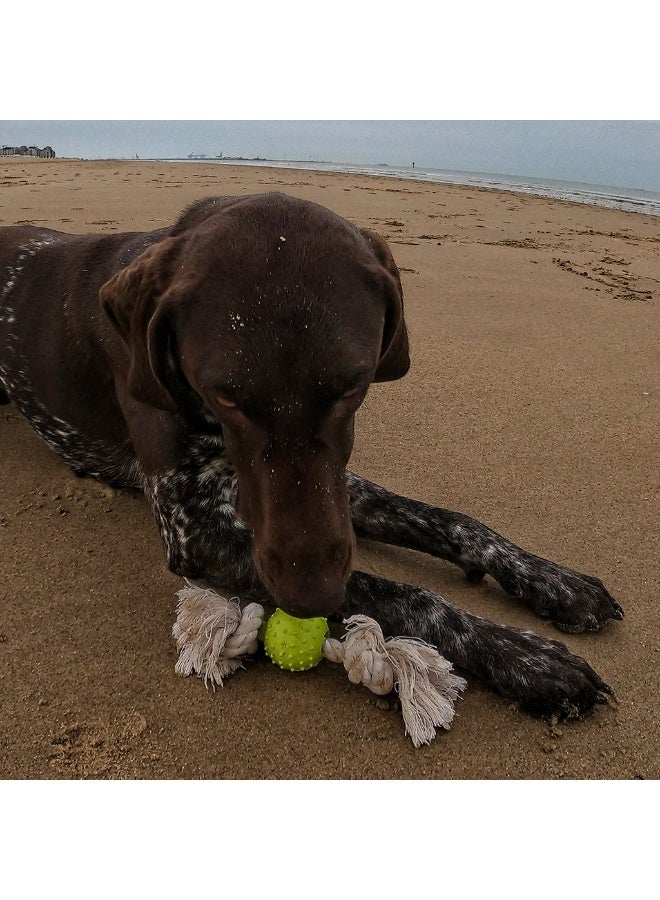 Duvo + Duvo+ Eco Rubber Ball Bamboo/Rice + Cotton 27x5x5cm Mixed Colors Dog Toy - Image 3