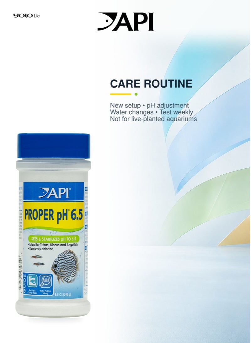 API Proper pH 6.5 Powder (8.5 oz), Aquarium Water Conditioner, pH Buffer, Aquarium Additive, for Aquarium Setup, Water Changes, Freshwater Fish - Image 3