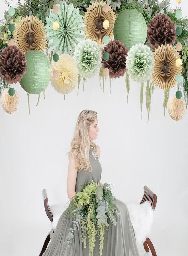 FETETIJD Sage Green and Brown Party Decorations Baby Shower Decorations Sage Green Beige Brown Tissue Paper Pom Poms Lanterns for Sage Green and Brown Birthday Bridal Shower Wedding Room Decor - Image 2